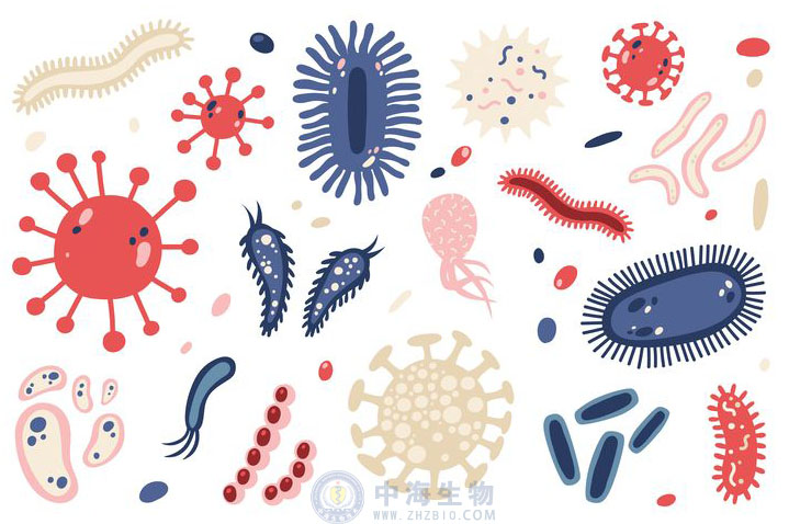 微生物是什么？哪些營養(yǎng)物質(zhì)促進(jìn)微生物生長繁殖？