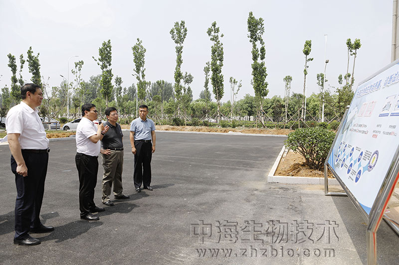 棗莊市委書記陳平調(diào)研中國獸藥谷及中海生物等重點項目建設情況圖片