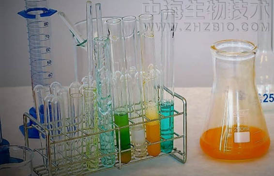 淺談培養(yǎng)基保存放置需注意四個方面？
